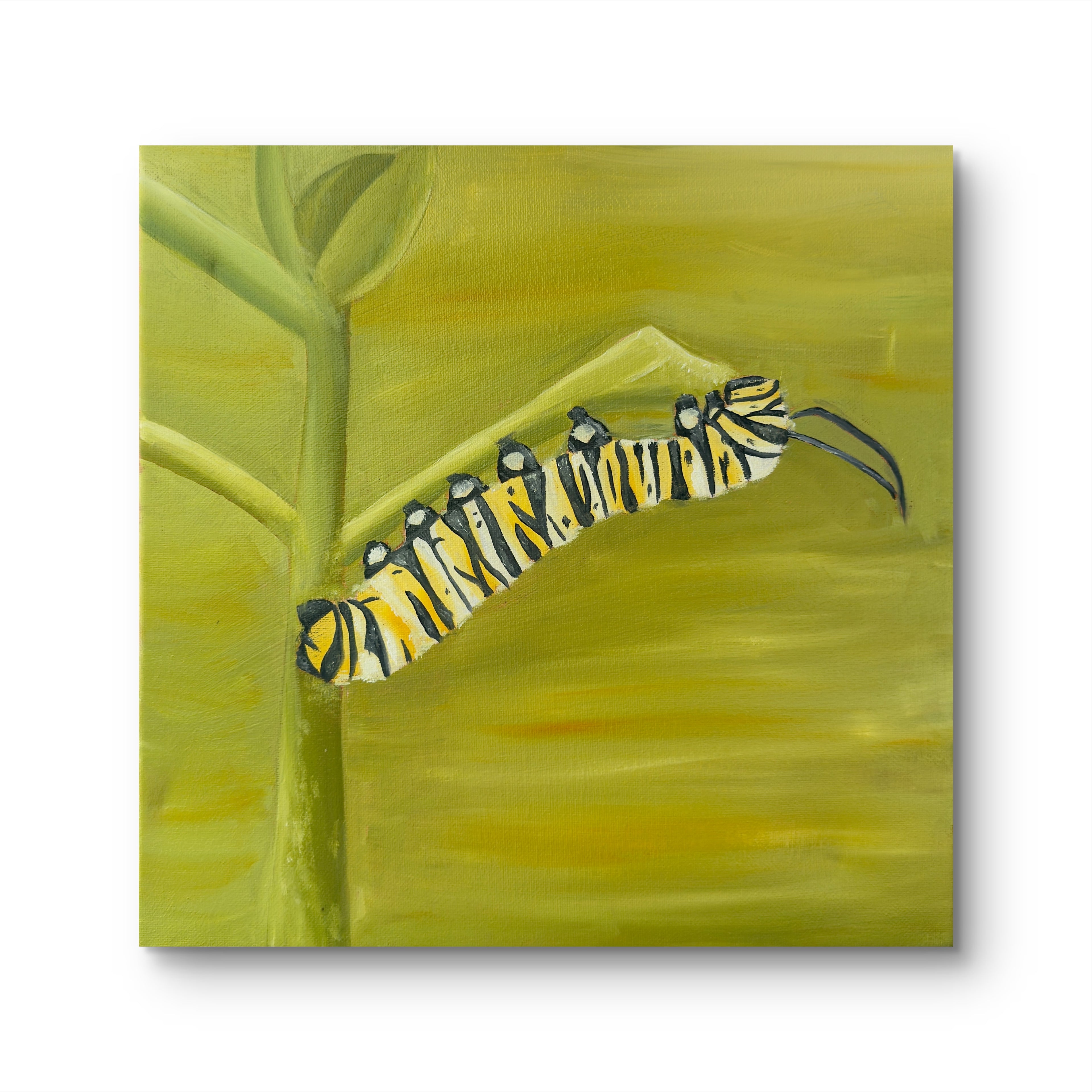 "Munchin" (June 2026) 12x12 Inch Original